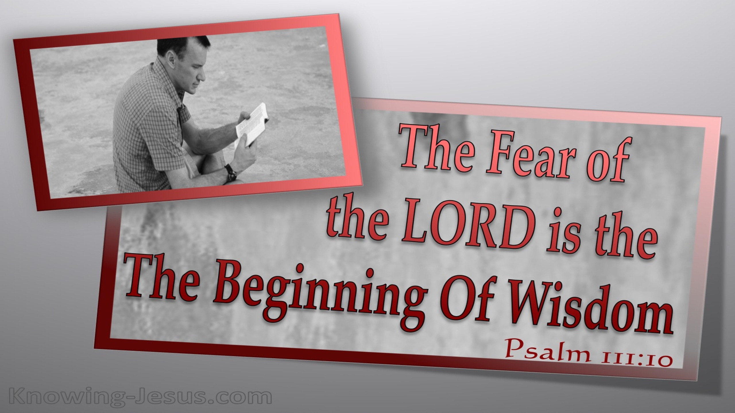 Psalm 111:10 The Fear Of The Lord Is The Beginning Of Wisdom (gray)